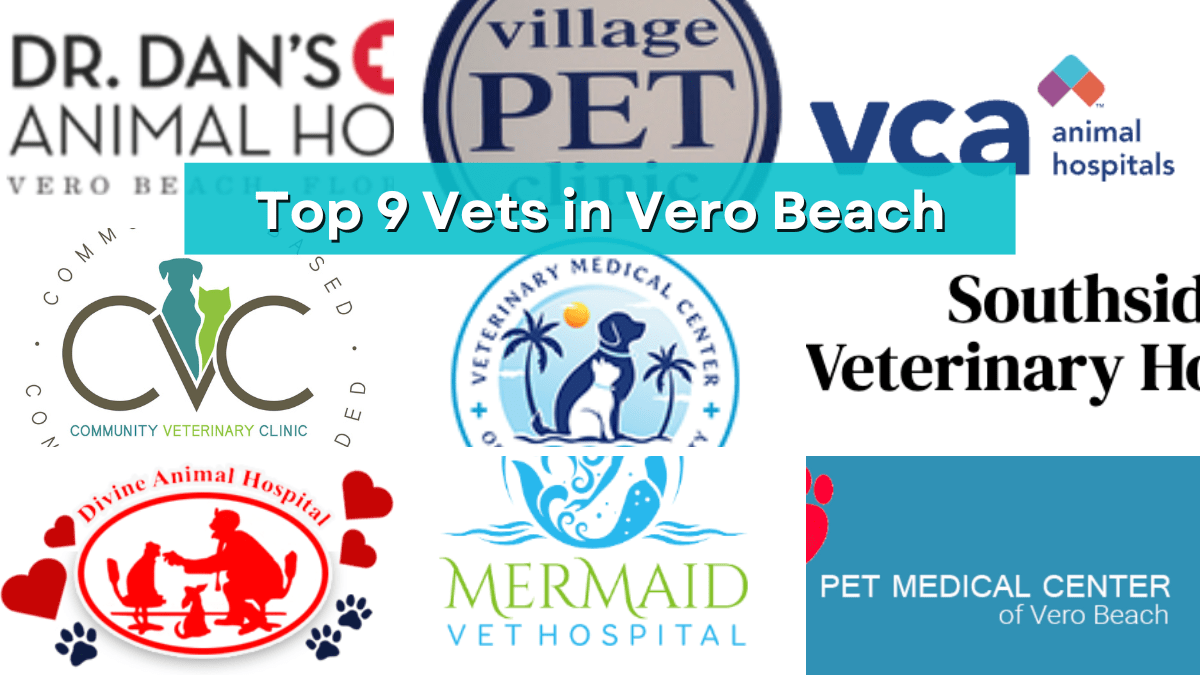 Top 9 Veterinarians in Vero Beach, Florida Vero Vine