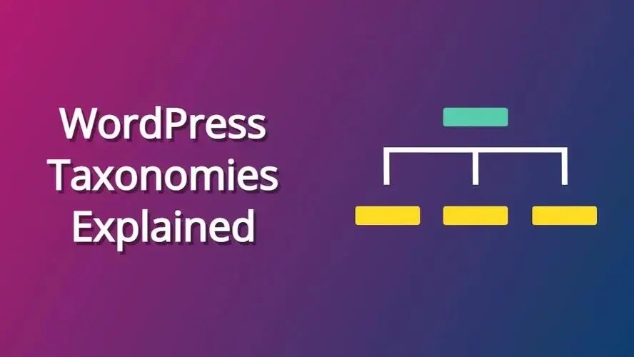 WordPress Taxonomies Explained