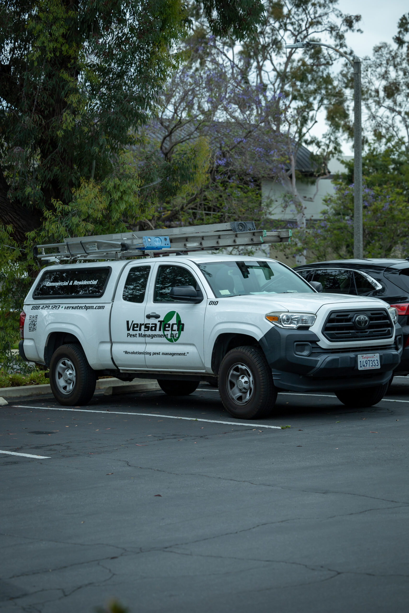 VersaTech Spider Pest Control Services VersaTech PM® Pests