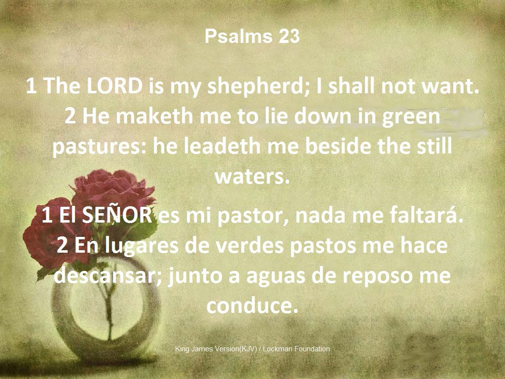 VerseVIEW » Screenshots