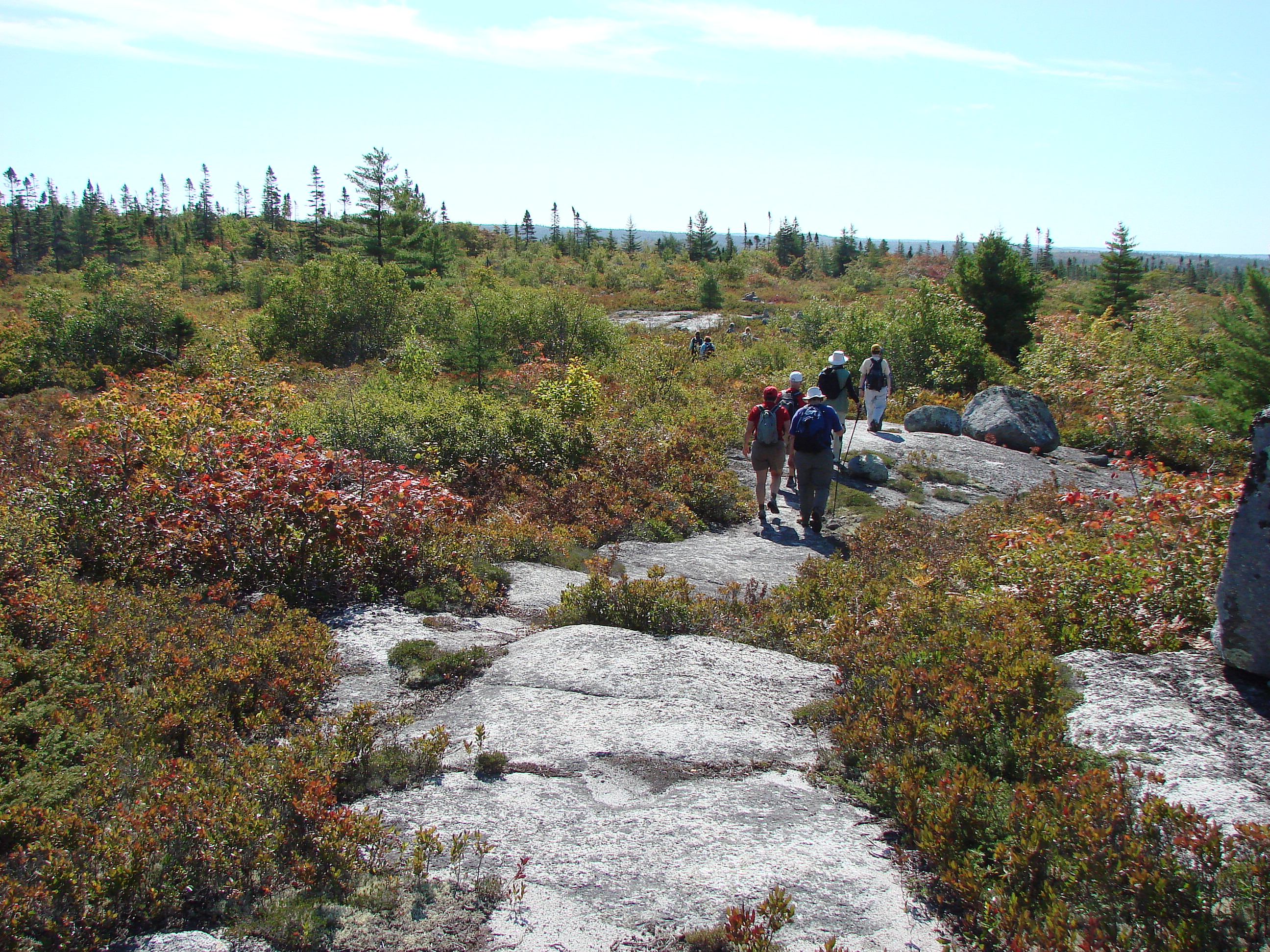 Bluff Trail Pics Page 1