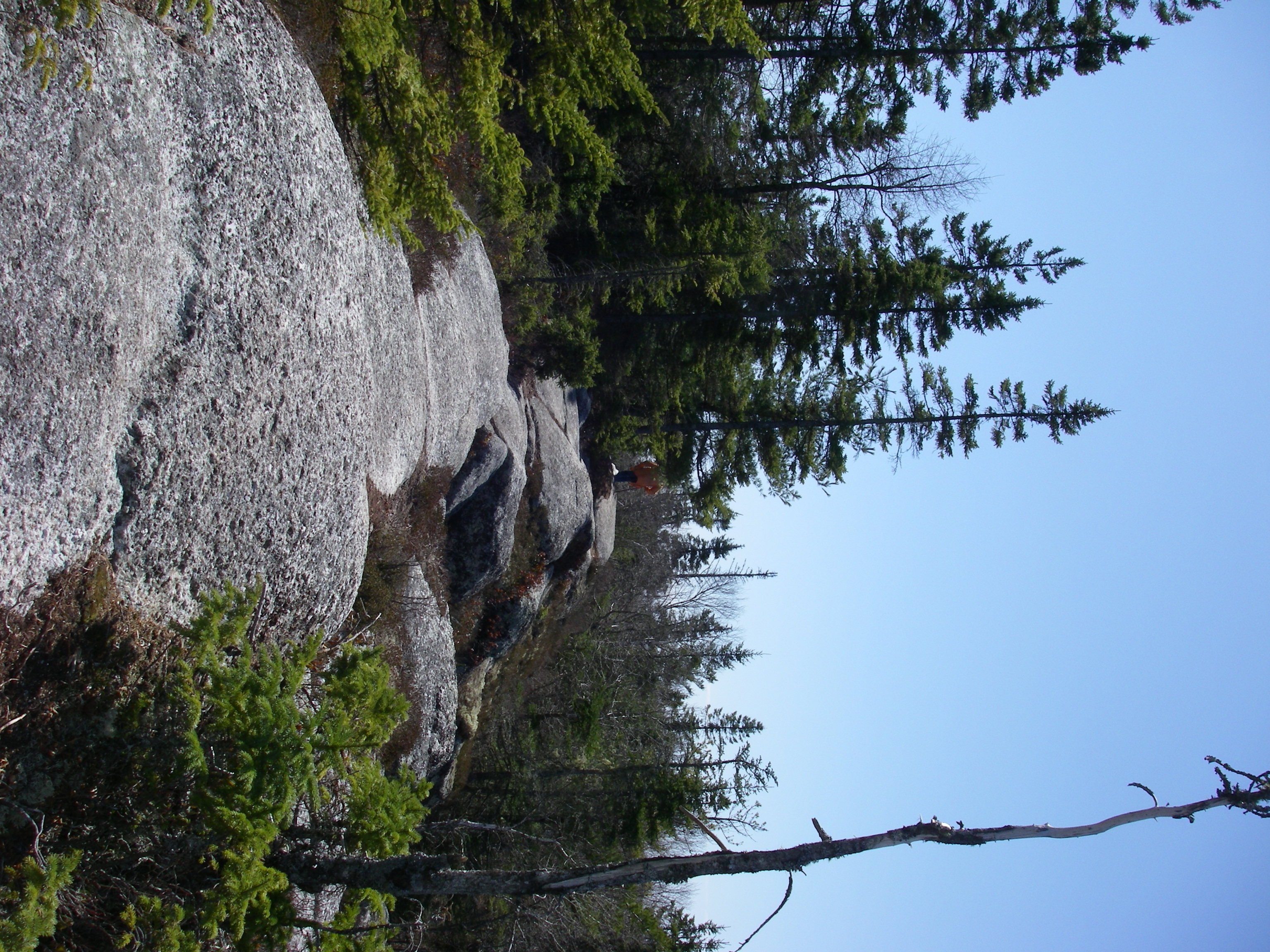 Bluff Trail Pics Page 1