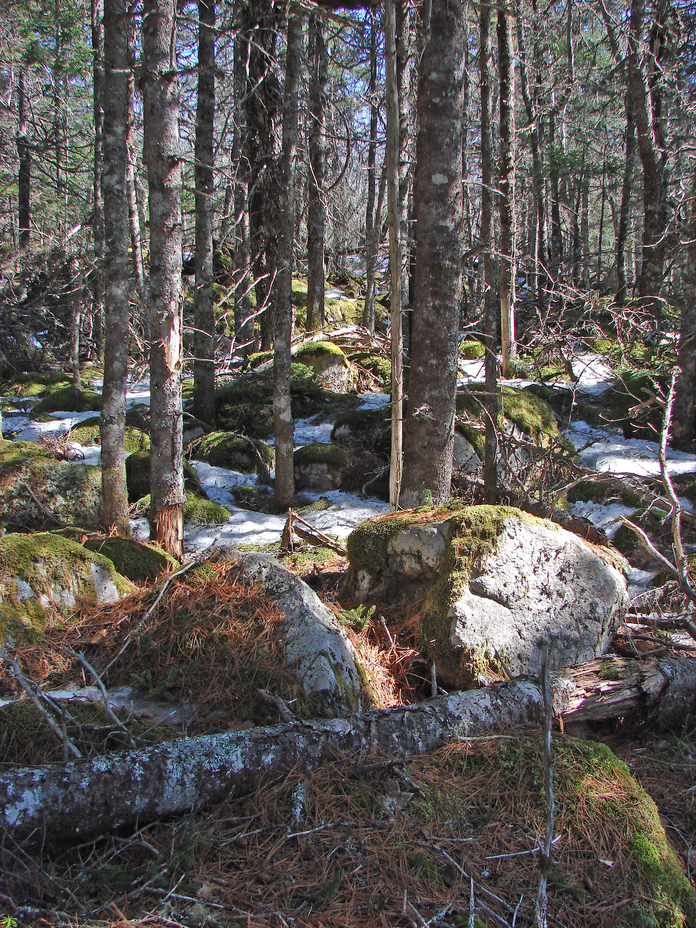 Bluff Trail Pics Page 1