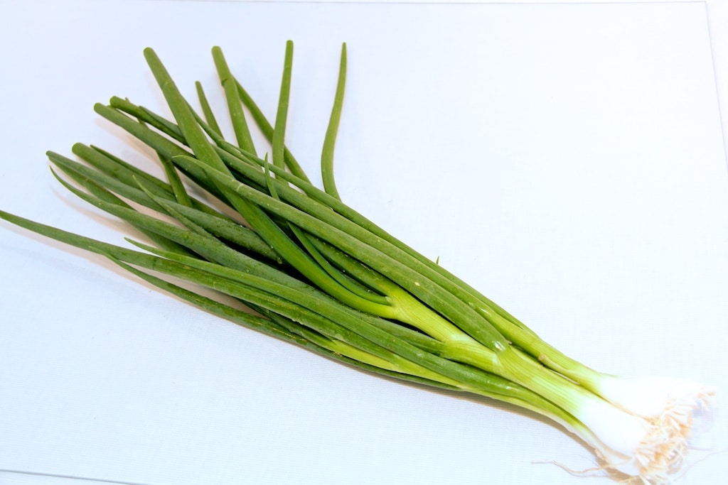 Lente Ui Per Bussel - Vers Van Het Veld