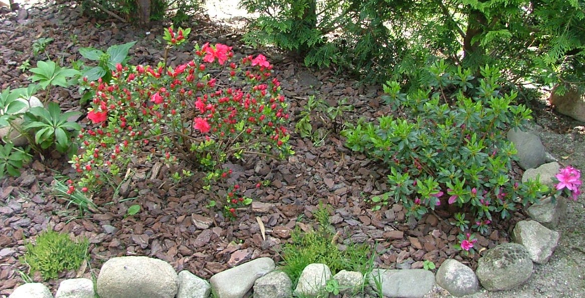 Apres Nous Irons Boire Un Verre De Vin Chaud