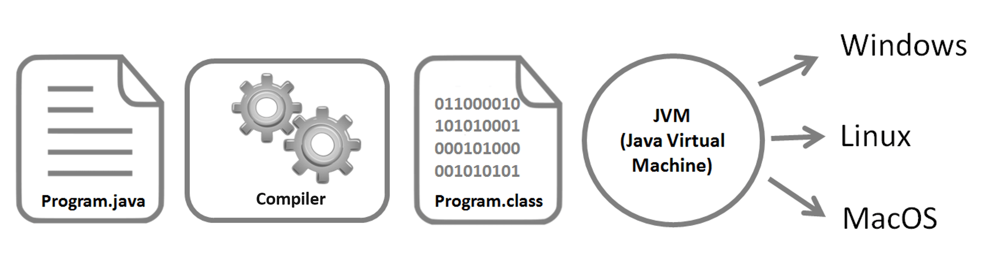 Why is Java so popular? • Vertex Academy