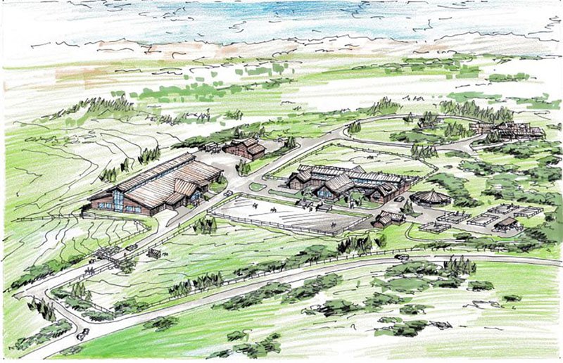 Castle Rock Equestrian Vertical Arts