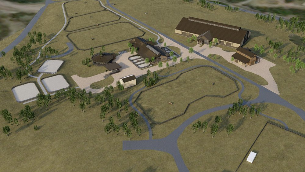 Castle Rock Equestrian Vertical Arts