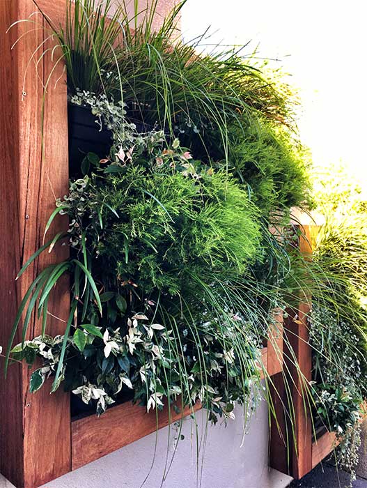 13+ Vertical Garden Systems Australia Pics