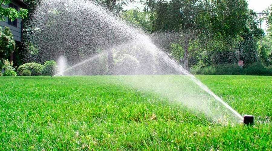 Irrigation Services Vertical Garden Dubai