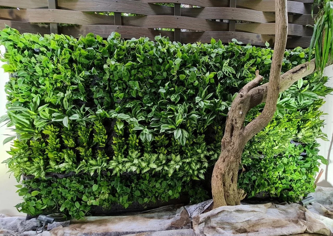 Low Maintenance Vertical Gardens Vertical Green