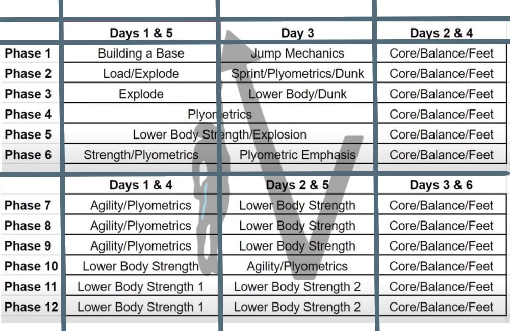 Top Vertical Jump Programs Cheap Sale, Up To 67% Off |  Www.editorialelpirata.com