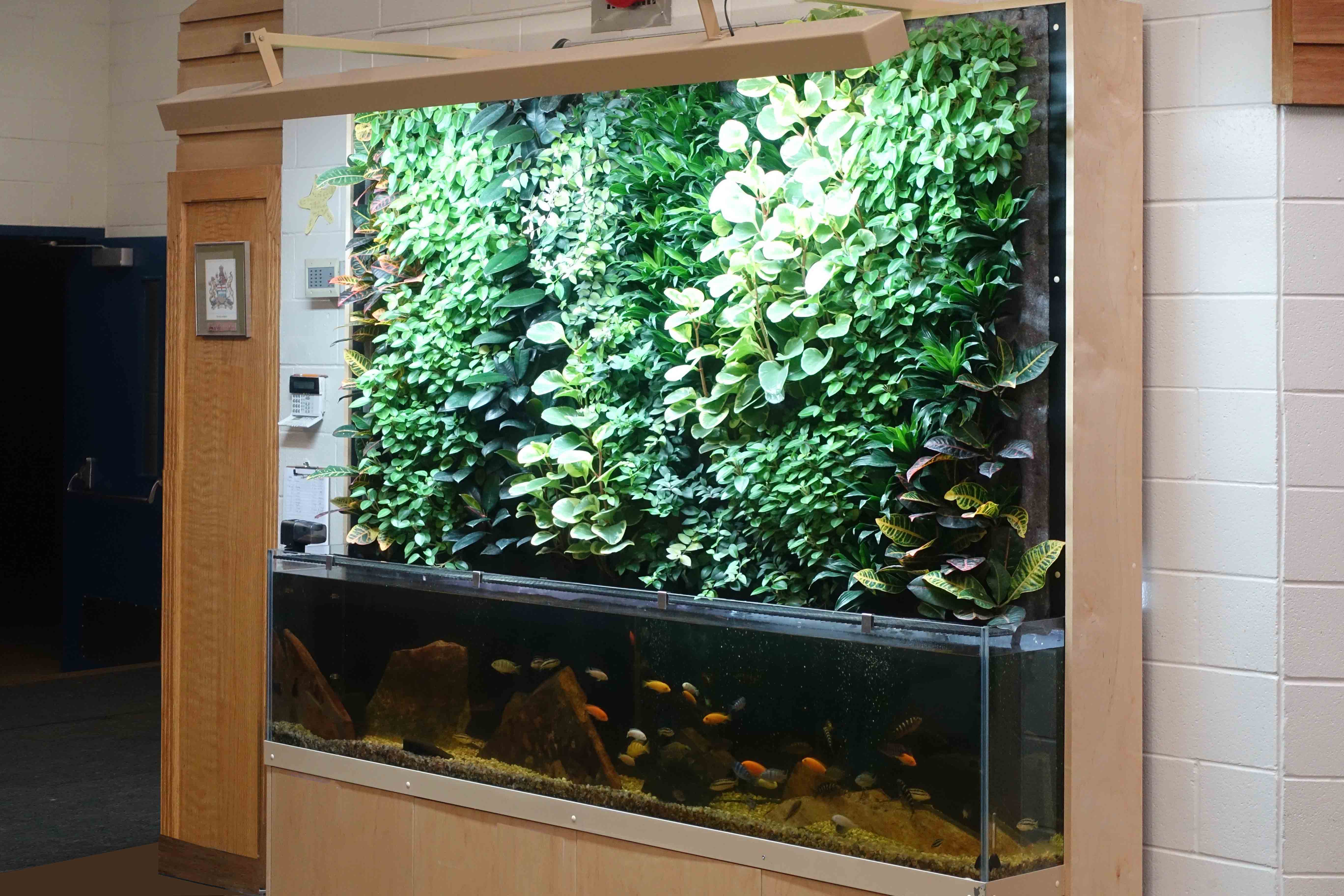 Living Wall Art Vertical Oxygen