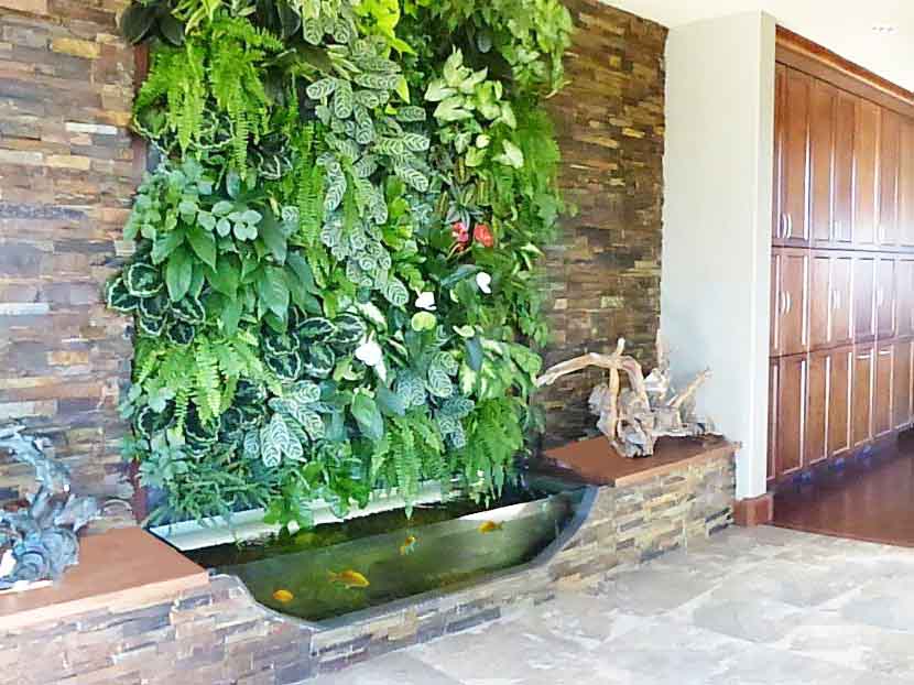 Living Wall at Home Vertical Oxygen