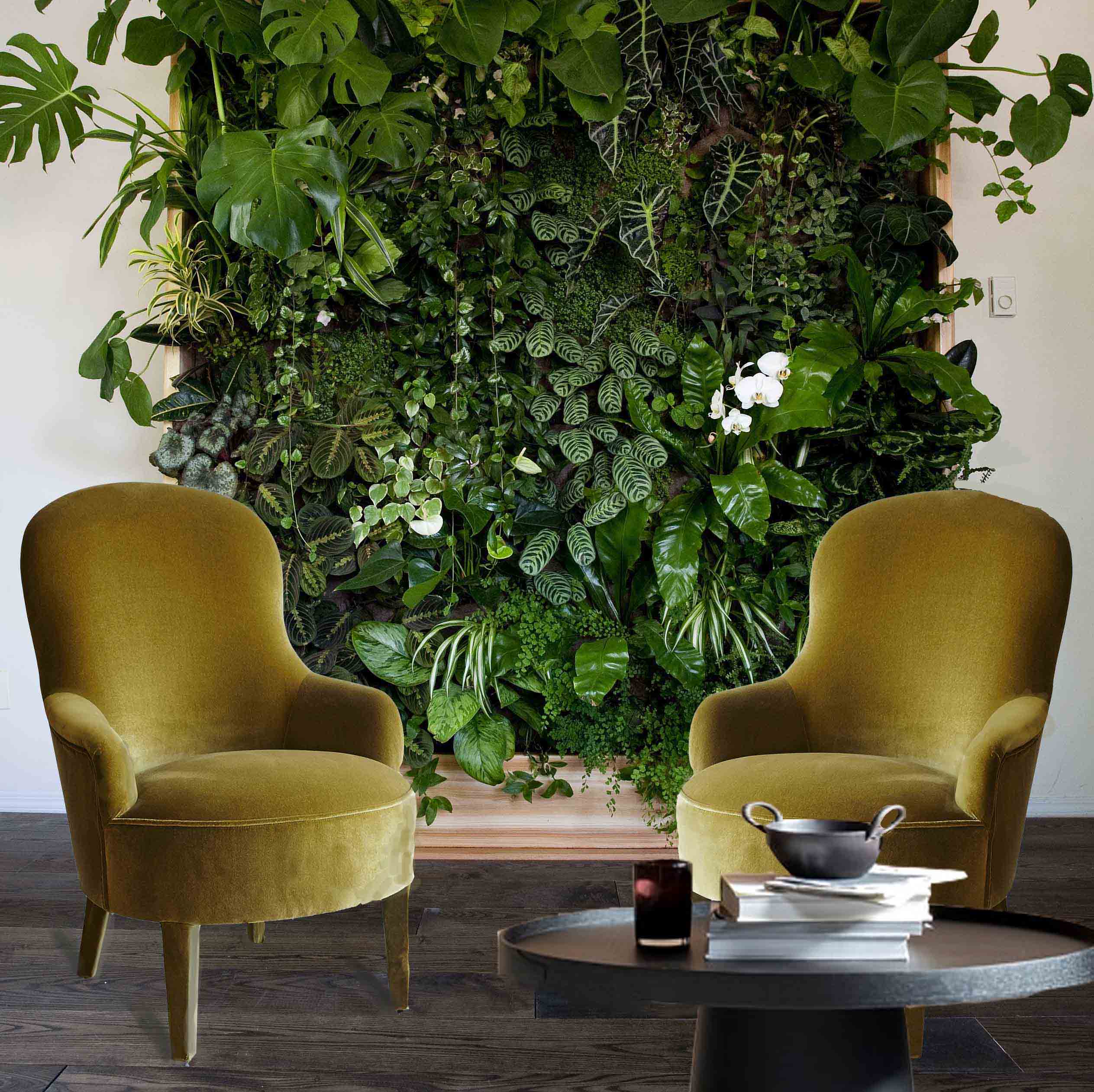 Living Wall at Home Vertical Oxygen