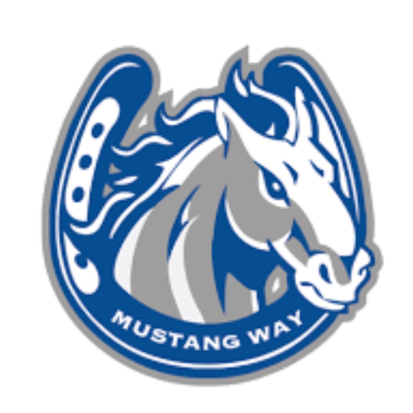 Pioneer High Cross Country Fundraiser 2021 Vertical RaiseVertical Raise