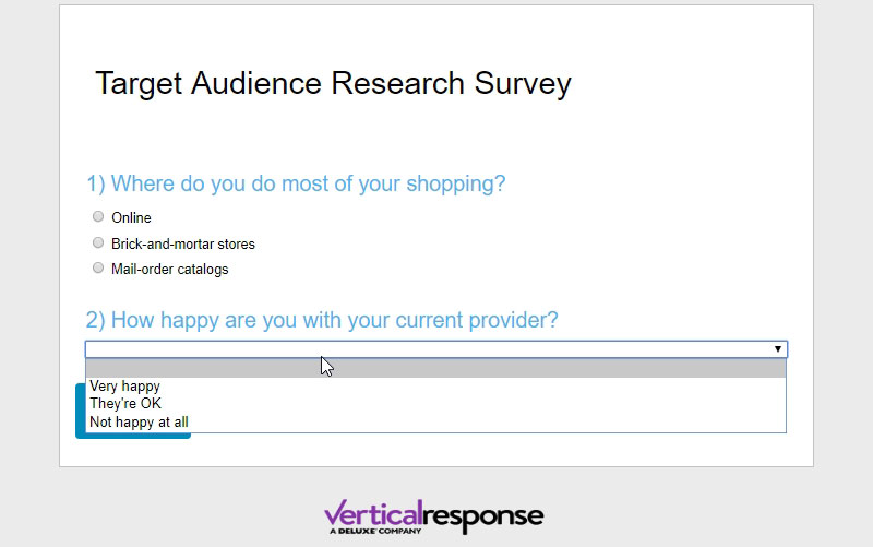 How to Use Surveys to Research Your Target Audience VR Blog