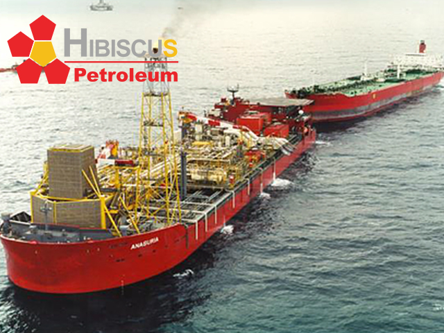 Hibiscus offered 3 Licences As Part Of The 32nd UK