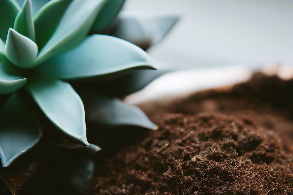 Choosing the Right Soils for Vertical Gardens Vertigrowers