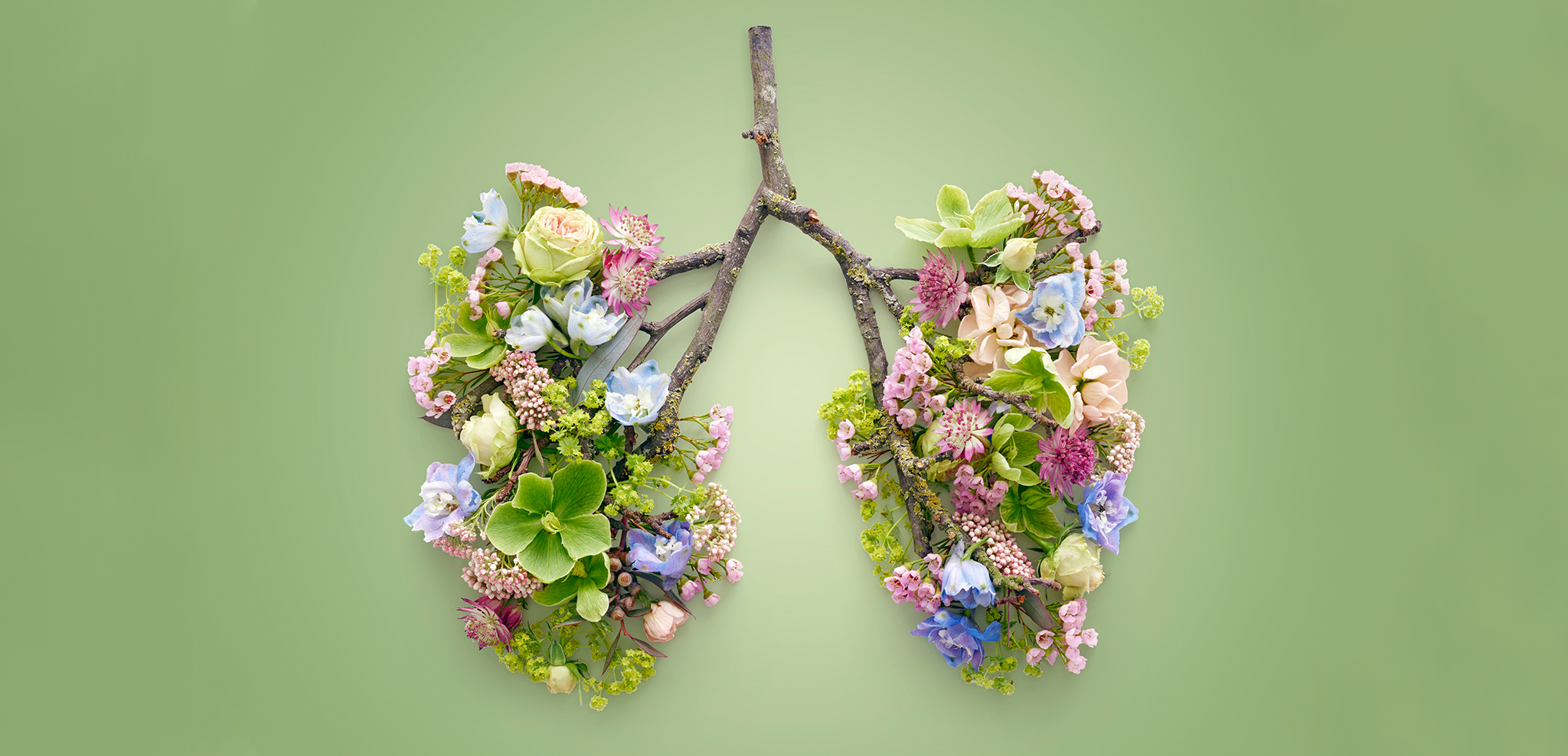 Focus on Essentials Causes and Effects of Shallow Breathing