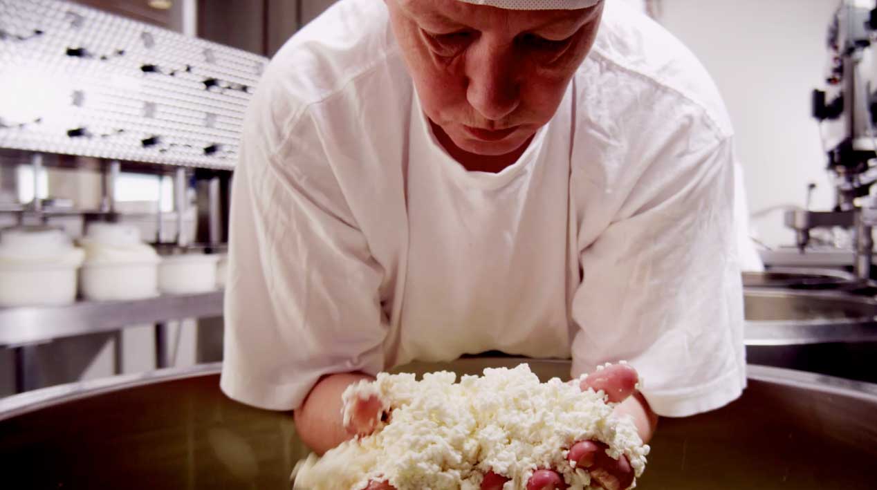 Story of DSM Food Specialties Very Content