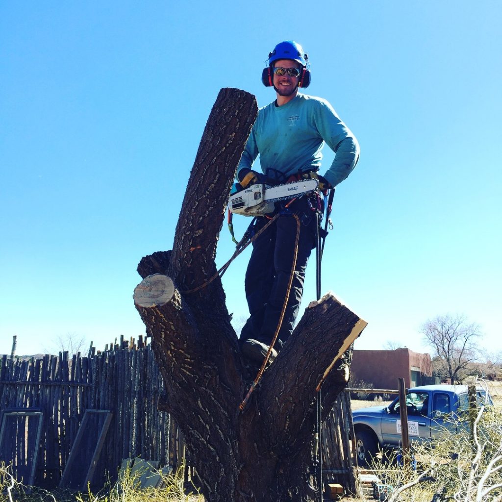 Tree Services in Albuquerque & Santa Fe Very Good Tree Service