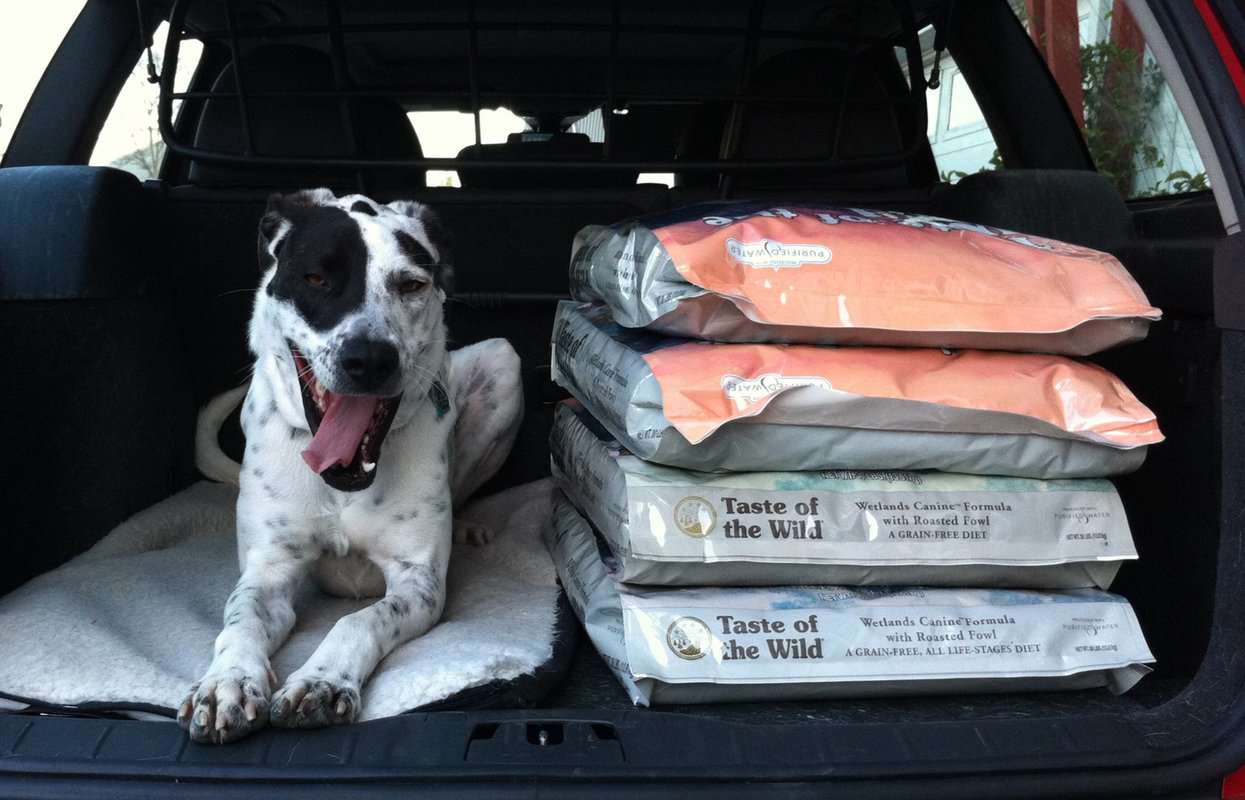 Are Dog Food Cans Recyclable