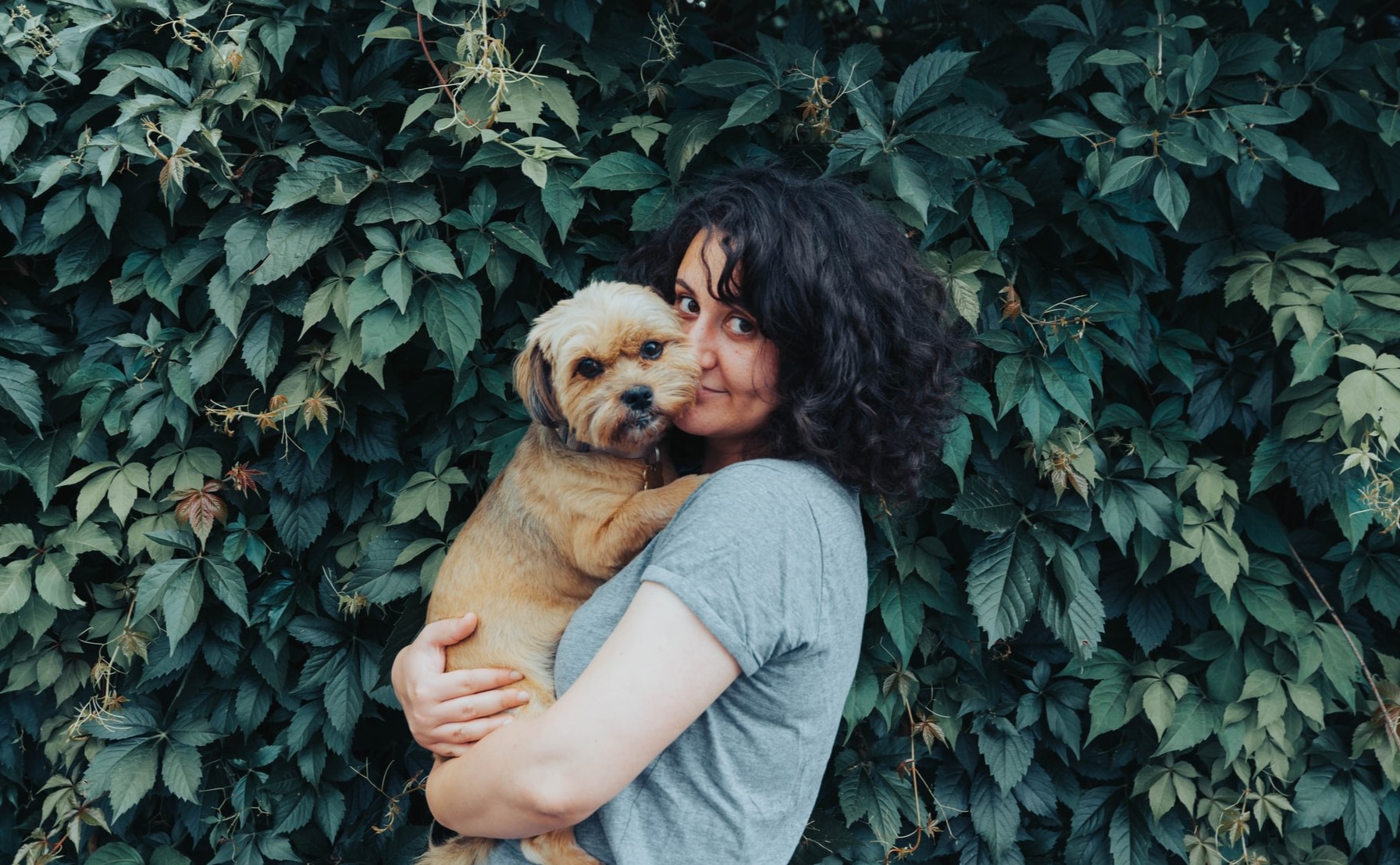 Why Do I Love My Dog So Much? (11 Reasons Why)