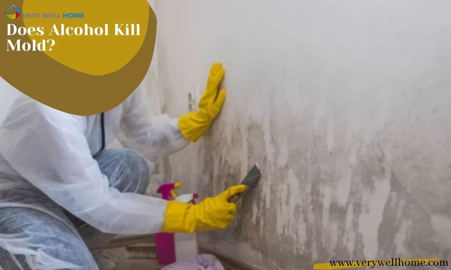 Does Alcohol Kill Mold? Isopropyl Alcohol or Vodka