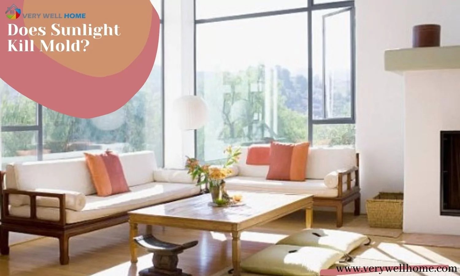 Does Sunlight Kill Mold? Facts and Treatmeants