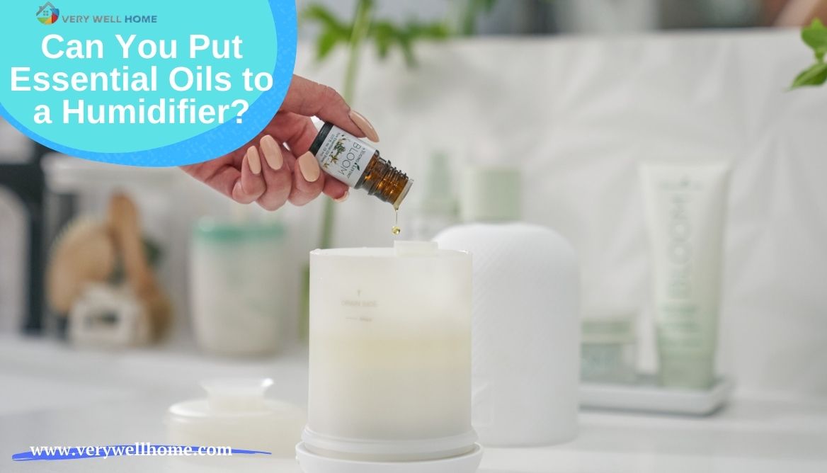 Can You Put Essential Oils to a Humidifier? 3 Important Keys