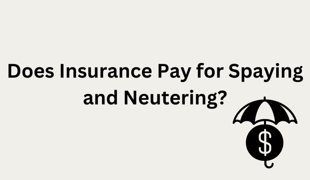 Does Petco Neuter/spay Cats and Dogs? (Your Full Guide)