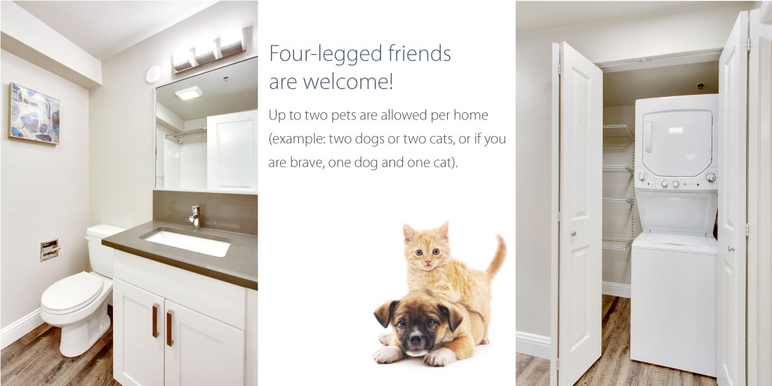 Vesper Apartments Seattle Washington