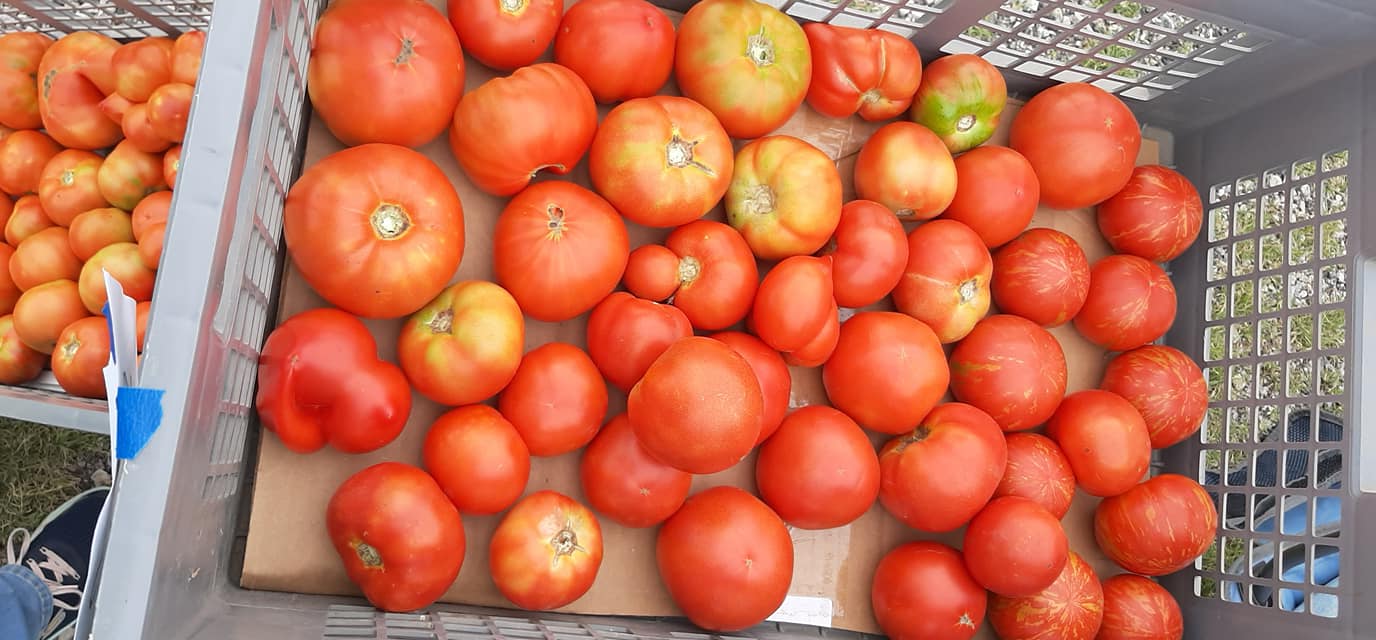 Fresh locally grown produce now available at the Vesper Farmers Markets