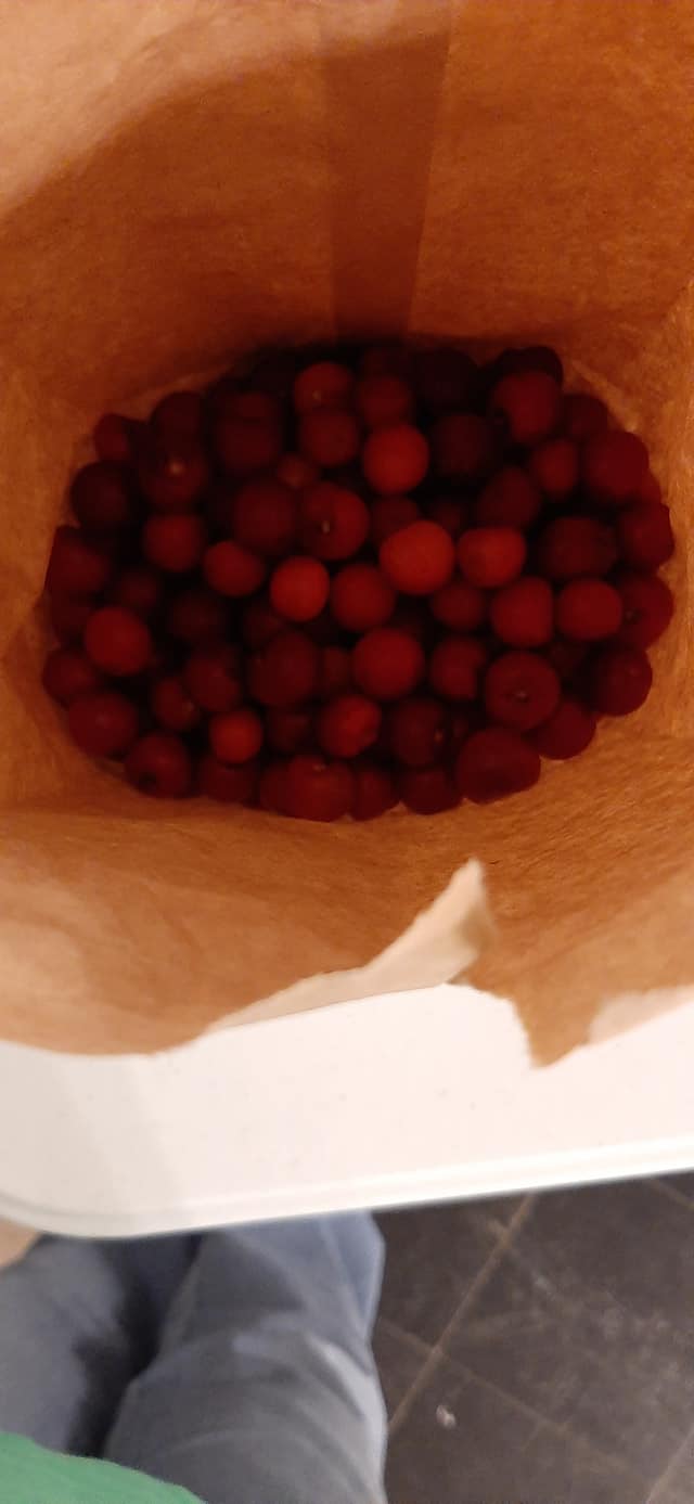 Fresh locally grown produce now available at the Vesper Farmers Markets