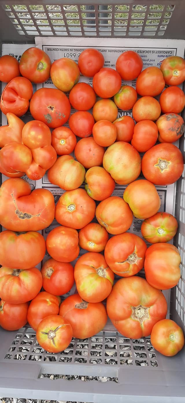 Fresh locally grown produce now available at the Vesper Farmers Markets