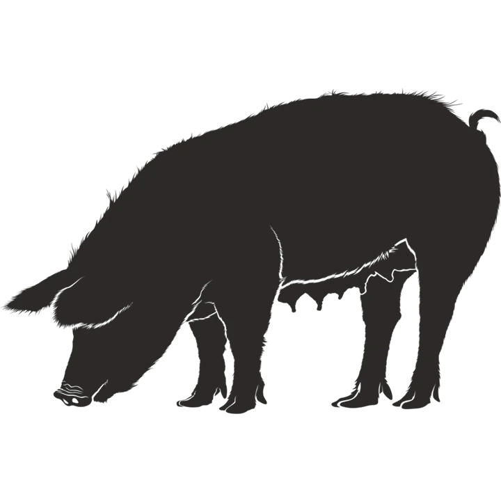 Vesper Group India's Top Veterinary Pharmaceutical Company