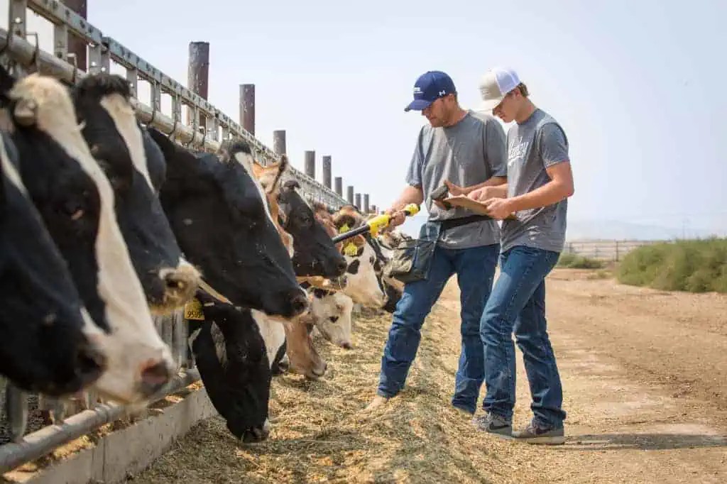 How Dairy Farmers of America uses Vesper’s import/export widget