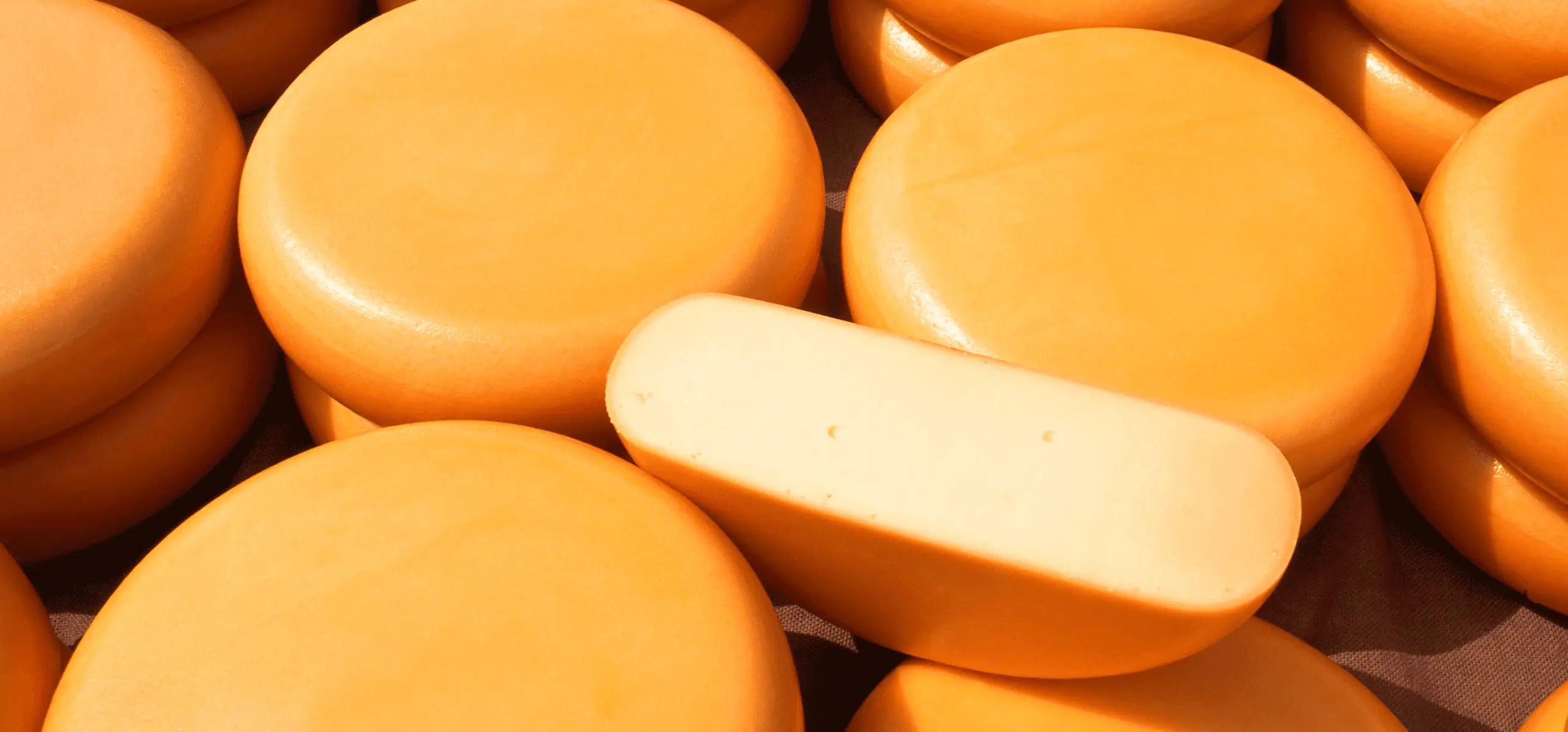 Cheese Highlights confusion, confidence, and cracks? Vesper