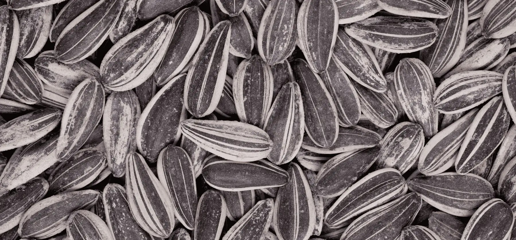 Sunflower oil market update tensions, trade, and prices on the rise