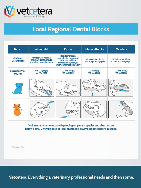 Local Regional Dental Blocks Vetcetera