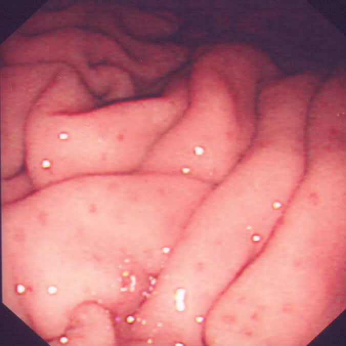 Full VetExtra CPD Course Schedule Vets
