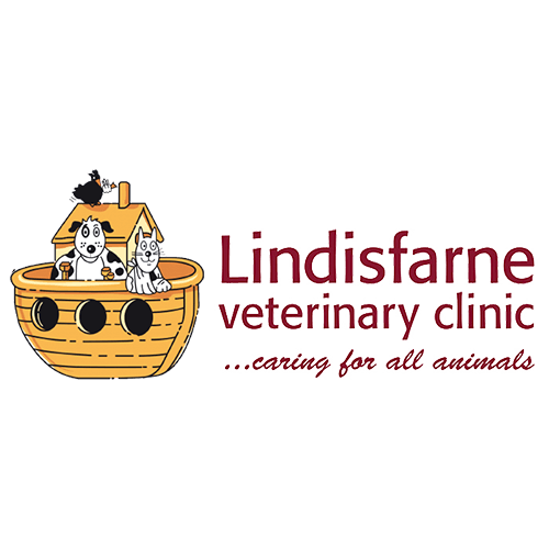 Pet Pack Online Veterinary Marketing Digital marketing experts for vets