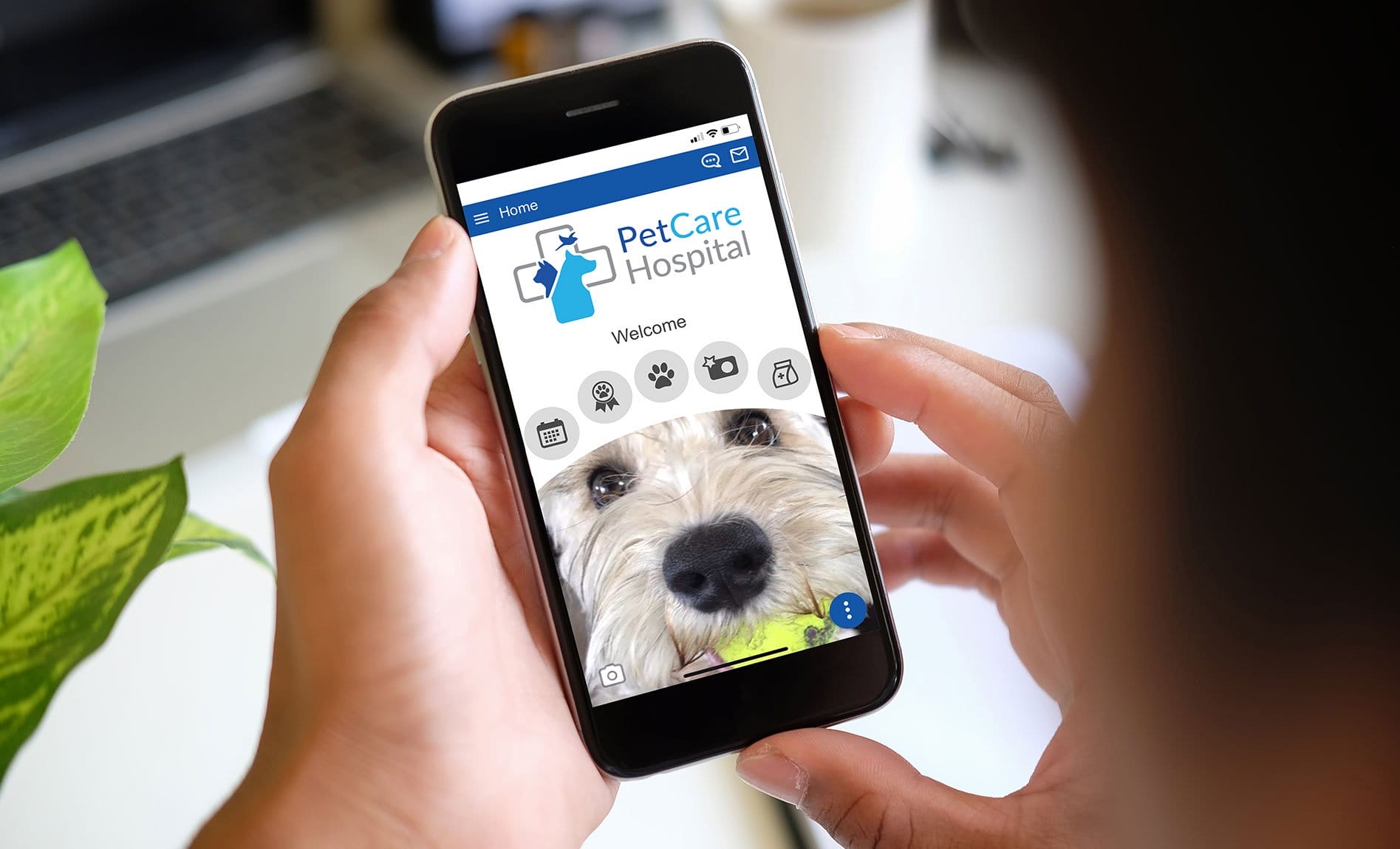 Tips for Increasing Your Hospital App Downloads Vet2Pet
