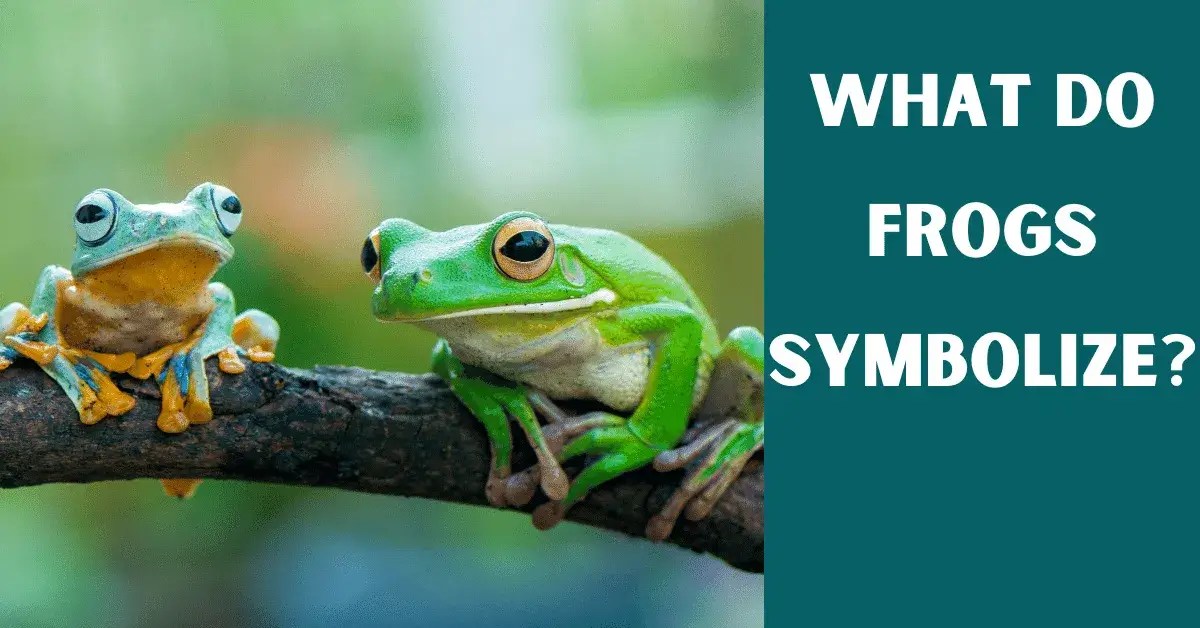 What Do Frogs Symbolize? Vet Advises