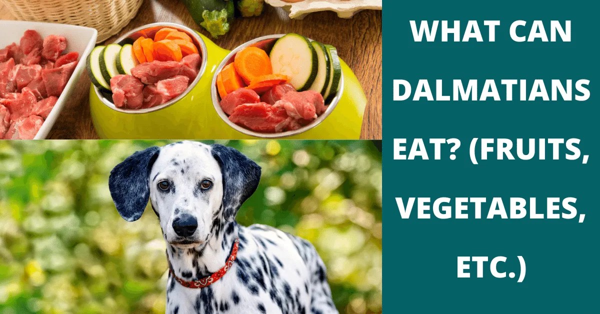 37 Fruits, Vegetables & Snacks Dalmatians Can (And Can't) Eat Vet Advises