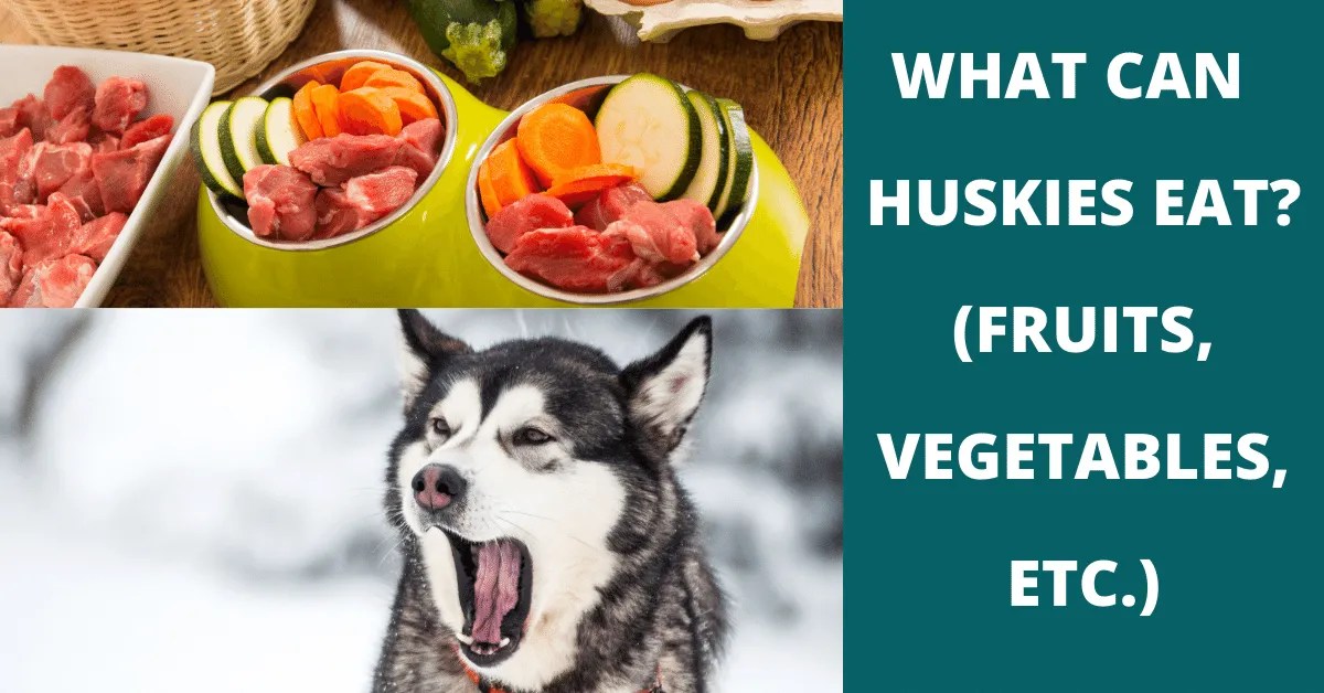 37 Fruits, Vegetables & Snacks Huskies Can And Can't Eat Vet Advises