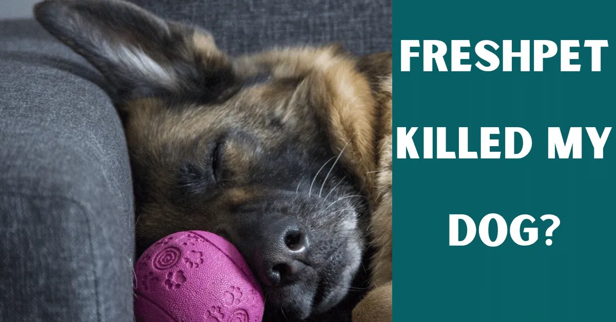 Freshpet Killed My Dog? Vet Advises