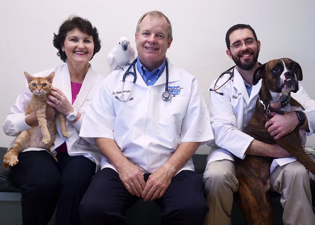 Veterinarian Baton Rouge l Veterinary Clinic l Animal Health Clinic