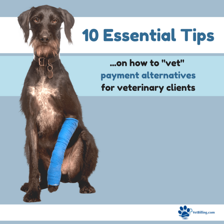 10 Tips for “Vetting” Payment Alternatives for Veterinary Clients